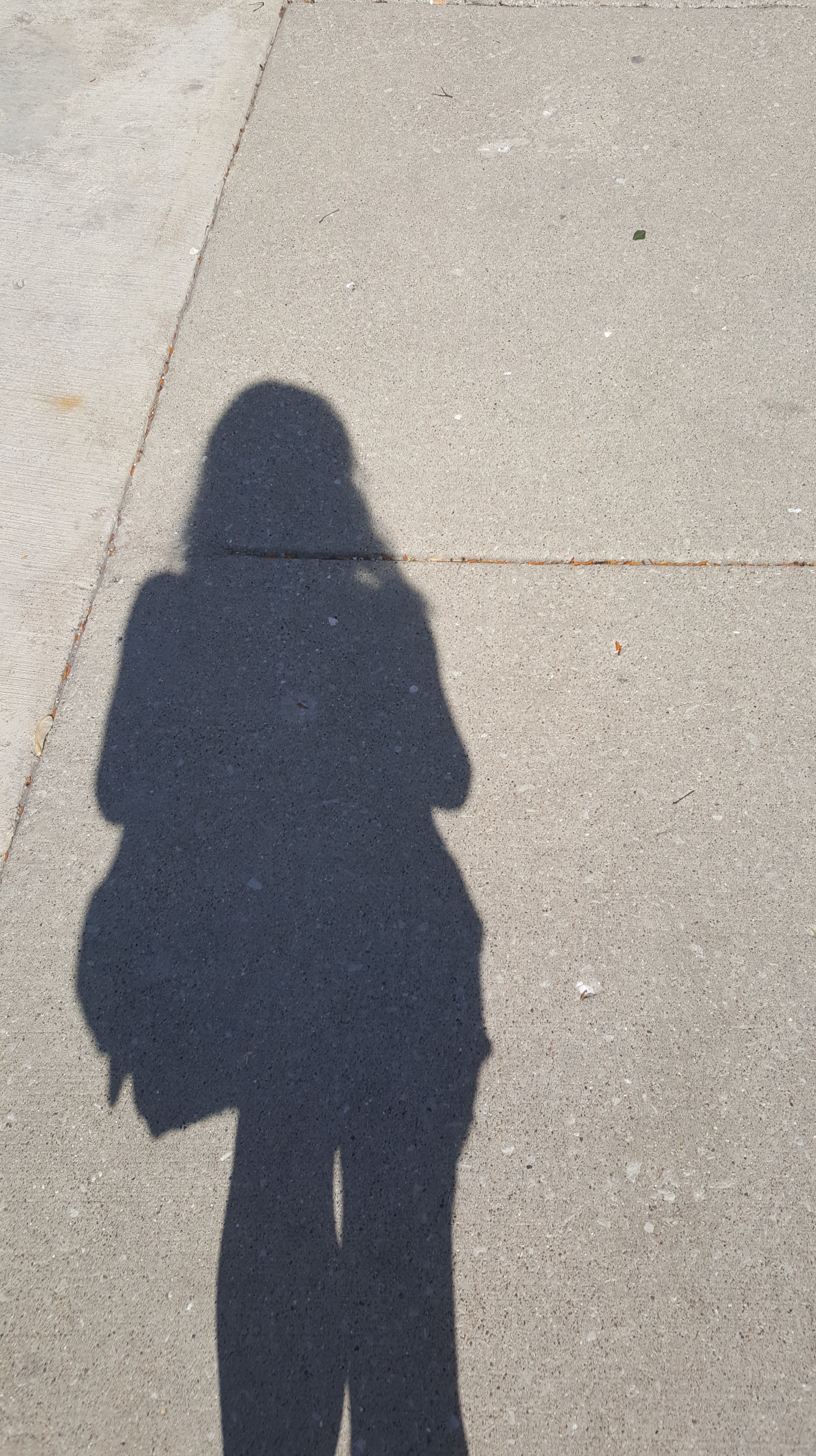 In the meantime, reach out to me, Sarah Falkiner with any questions at sfalkiner7@gmail.com

